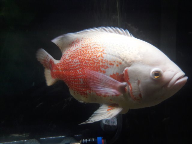 20180620_165210.jpg