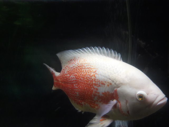 20180620_165205.jpg