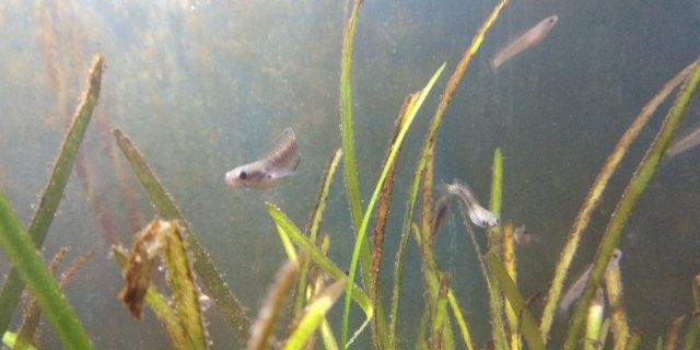 IMG_20180621_195755.jpg