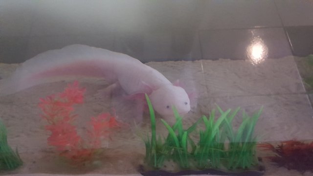 20180508_141255.jpg 20180508_141255.jpg