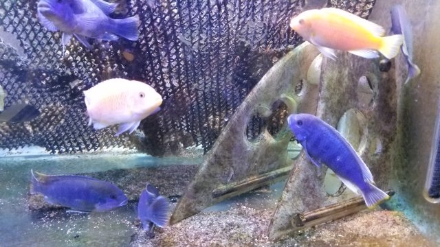 20180623_143449.jpg