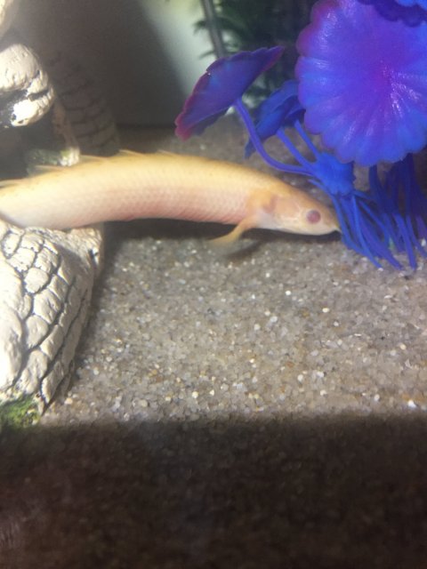 AC351328-B1A6-44C1-AD74-314C37176B9D.jpeg AC351328-B1A6-44C1-AD74-314C37176B9D.jpeg