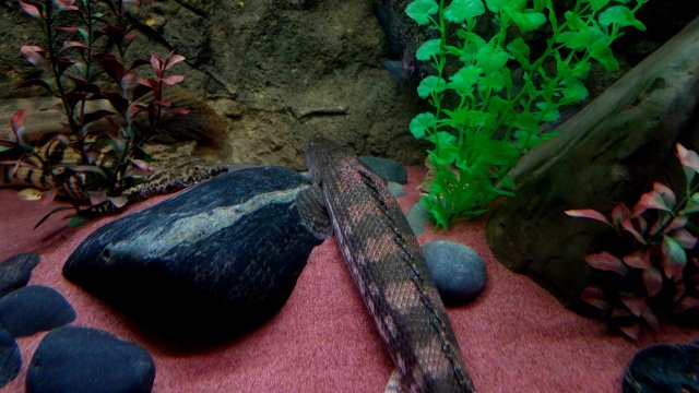 20180623_202409.jpg