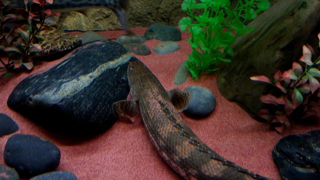 20180623_202353.jpg
