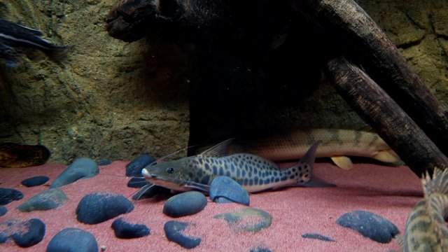 20180623_202944.jpg