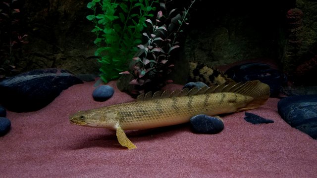 20180623_202921.jpg