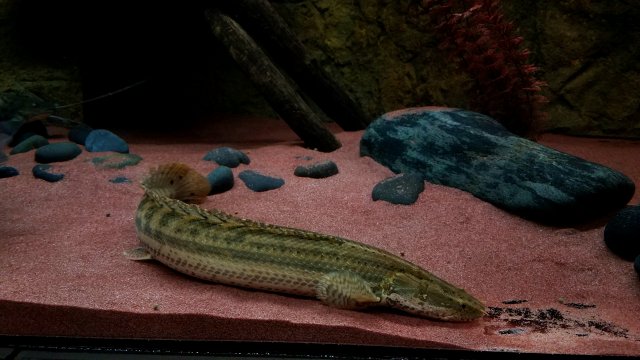 20180623_202819.jpg