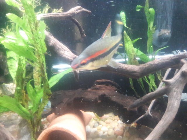 20180624_092324.jpg
