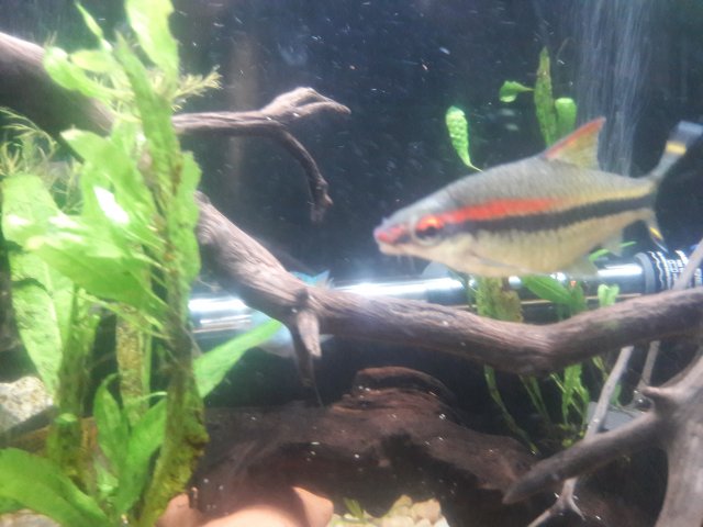 20180624_092314.jpg