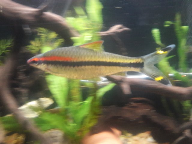 20180624_092317.jpg