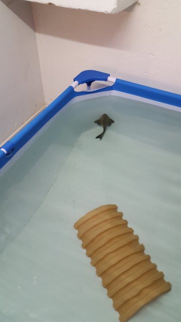 20180618_111204.jpg