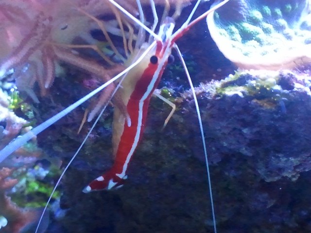 2011-02-13 18.34.34.jpg