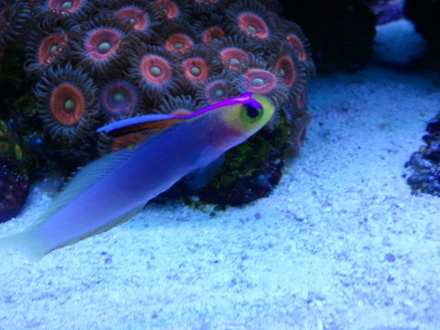 2011-02-23 17.44.47.jpg