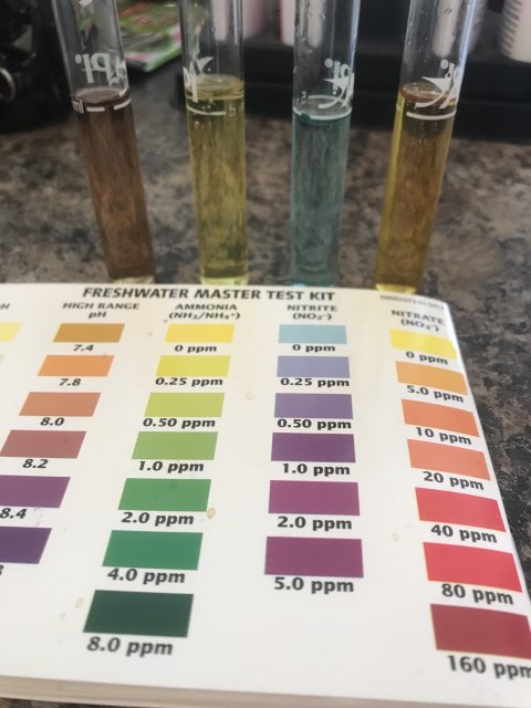 7A4253C5-1B05-483A-8014-1D5F78C1E437.jpeg 7A4253C5-1B05-483A-8014-1D5F78C1E437.jpeg