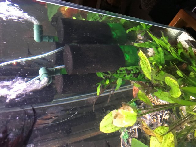 80 Gallon Air Pump.jpg