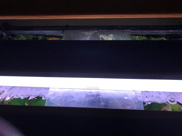 Flourescent Light Hood.jpg