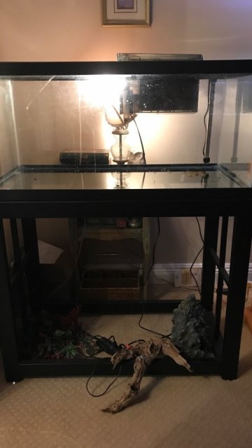 40 Gallon Breeder.jpg