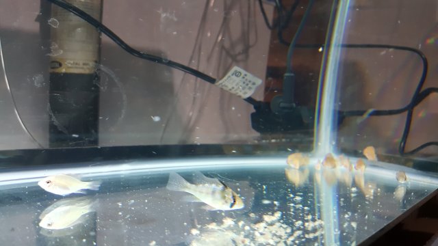 20170922_131648.jpg