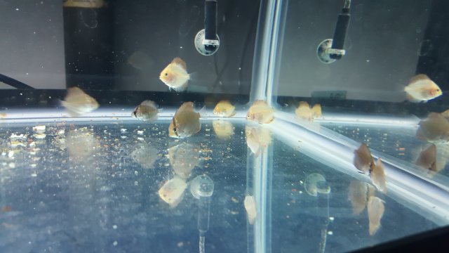 20171011_084749.jpg