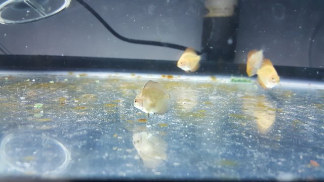 20171016_191628.jpg
