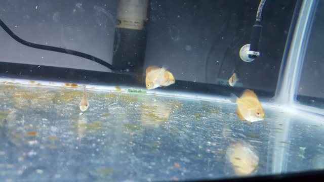 20171016_191639.jpg