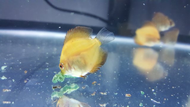 20171107_173140.jpg