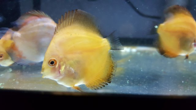 20171120_160626.jpg