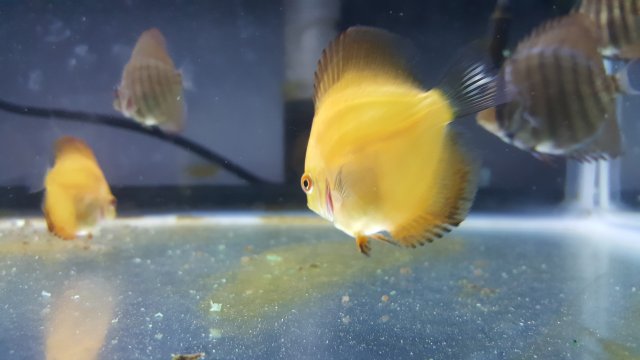 20171120_160707.jpg