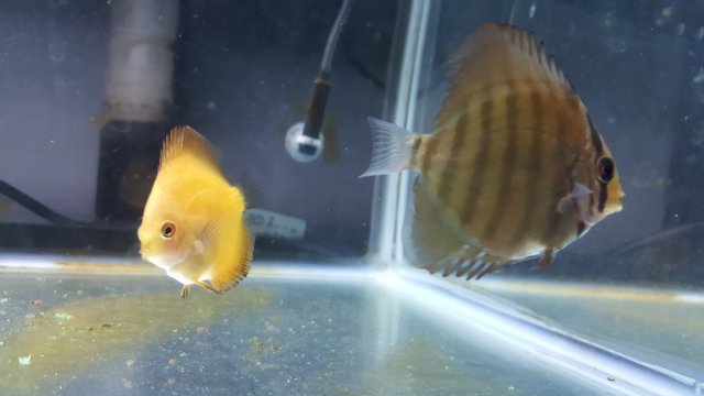 20171120_160718.jpg