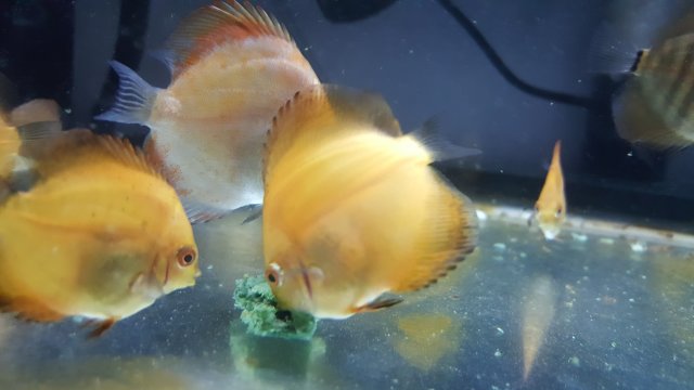 20171120_160731.jpg