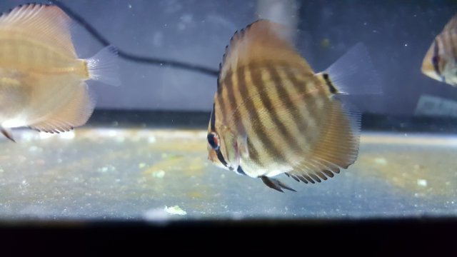 20171120_160746.jpg