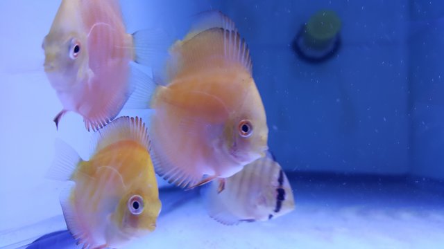 20180103_152243.jpg