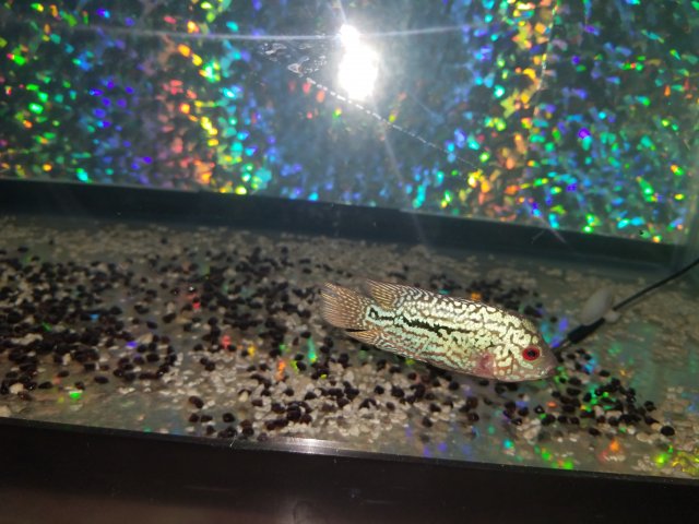 20180628_113059.jpg