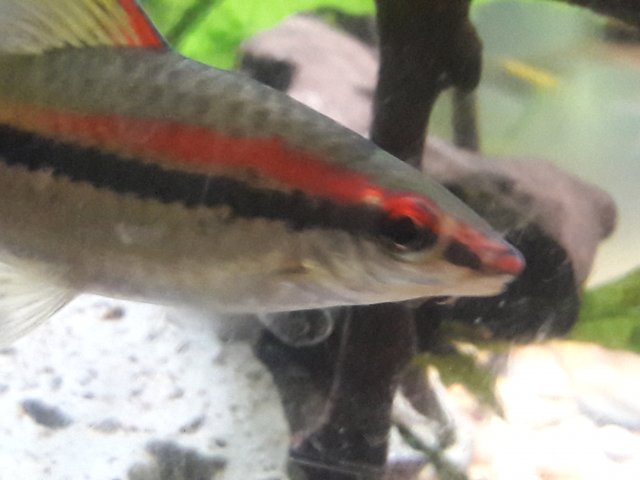 20180628_175157.jpg