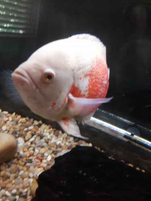 20180629_090912.jpg