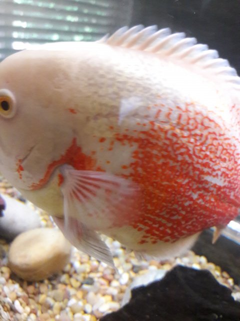 20180629_090959.jpg