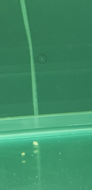 Screenshot_20180701-004844.jpg