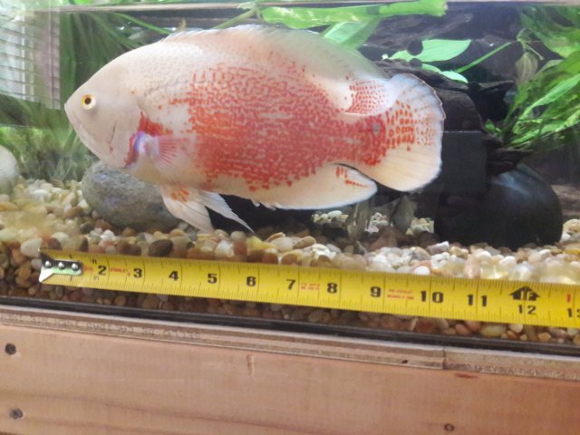 20180524_114929.jpg