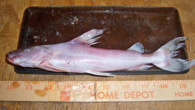 100_8137.JPG