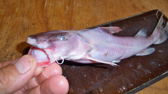 100_8140.JPG