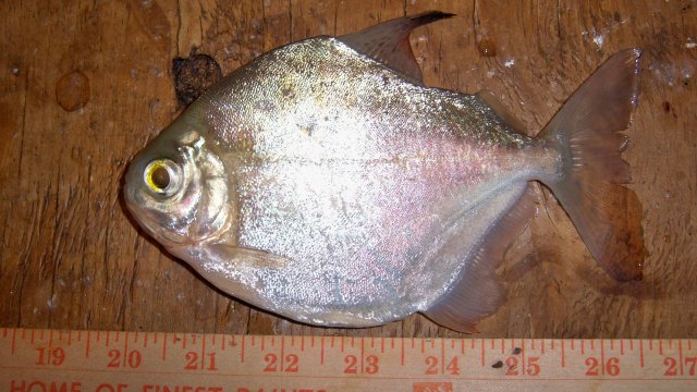 100_8155.JPG