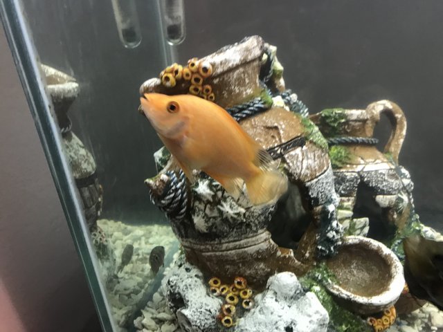 F77DFCEE-F0D2-4967-A672-D6F49345B4F4.jpeg