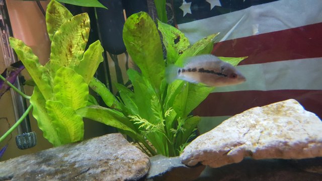 20180706_151007.jpg 20180706_151007.jpg