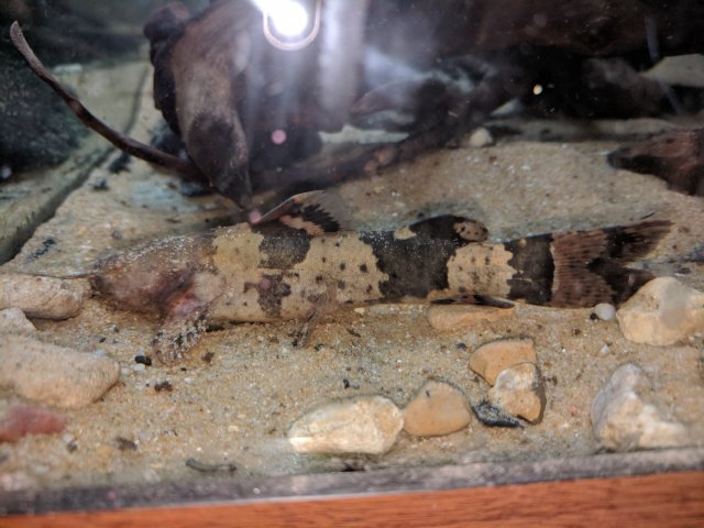 IMG_20180707_135141.jpg