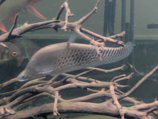IMG_20180708_124312.jpg