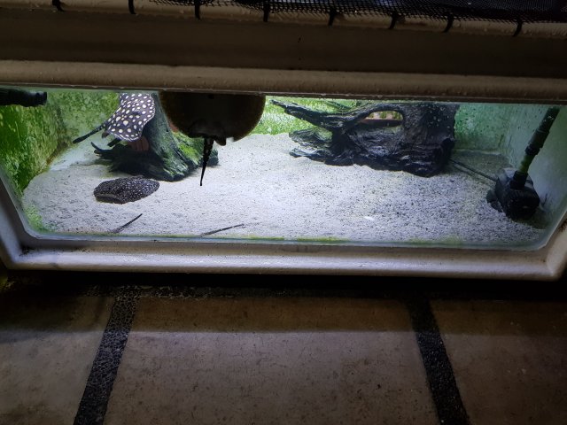 20180710_064524.jpg