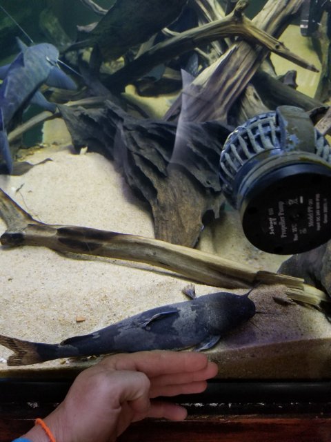 20180710_174501.jpg