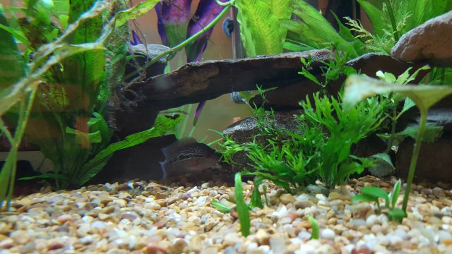 20180710_184916.jpg