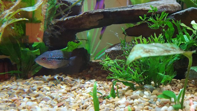 20180710_184327.jpg