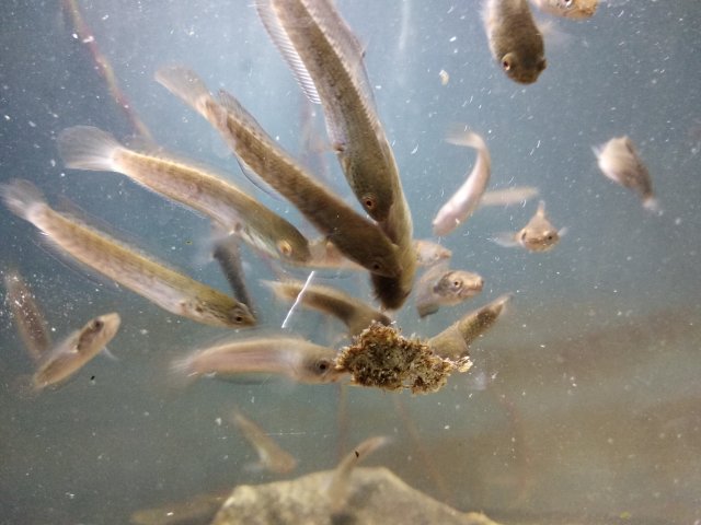 IMG_20180711_093135.jpg